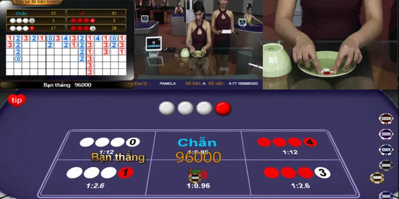 C&aacute;ch tham gia chơi x&oacute;c đĩa online ở nh&agrave; c&aacute;i trực tuyến